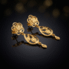 Fancy earrings